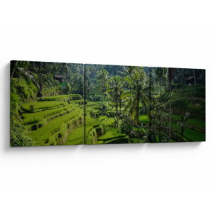Slika rižinih terasa Tegalalang, Bali