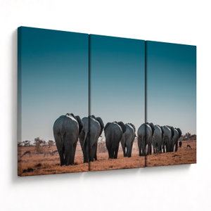 Schilderij - Vetrek van olifanten