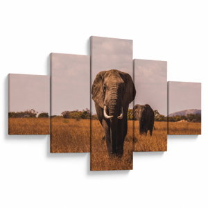 Schilderij - Tegemoet komende olifant