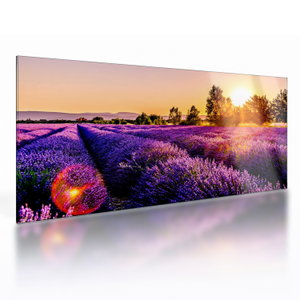 Glasschilderij - Lavendelveld in de Provence (V021590V10050GD)