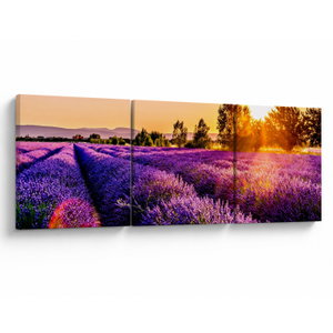 Schilderij - Lavendelveld in de Provence (V021590V12040)