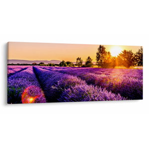 Schilderij - Lavendelveld in de Provence (V021590V12050)