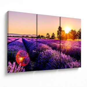 Schilderij - Lavendelveld in de Provence (V021590V120803PCS)