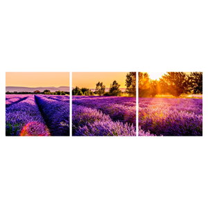 Schilderij - Lavendelveld in de Provence (6)