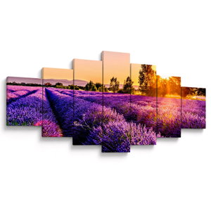 Schilderij - Lavendelveld in de Provence (V021590V210100)