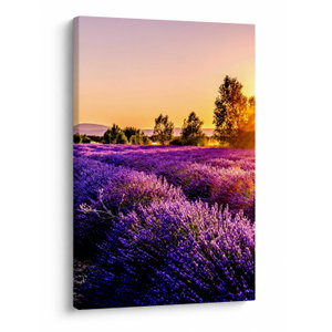 Schilderij - Lavendelveld in de Provence (V021590V6090)