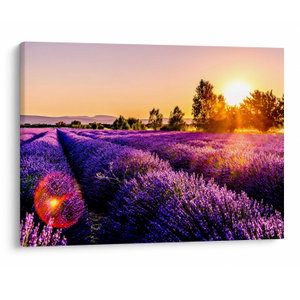 Schilderij - Lavendelveld in de Provence (V021590V7050)