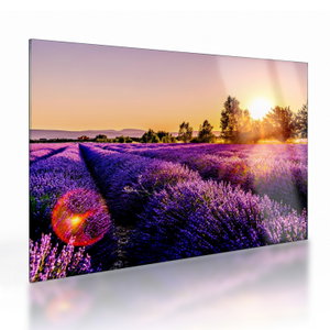 Glasschilderij - Lavendelveld in de Provence (V021590V7050GD)