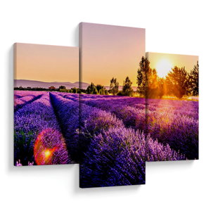 Schilderij - Lavendelveld in de Provence (V021590V90603PCS)