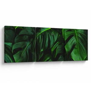 Schilderij - Monstera bladeren