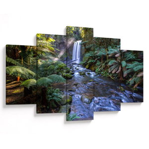 Schilderij - Regenwoud in Australië