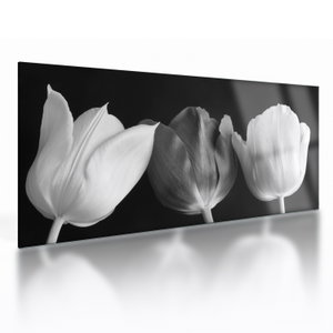 Glasschilderij - Zwart-witte tulpen (V021916V10050GD)