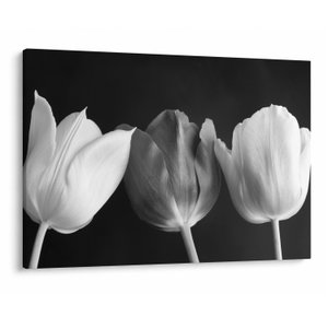 Schilderij - Zwart-witte tulpen (V021916V10070)