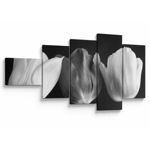 Schilderij - Zwart-witte tulpen (V021916V11060)