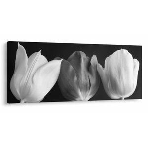 Schilderij - Zwart-witte tulpen (V021916V12050)