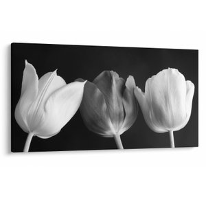 Schilderij - Zwart-witte tulpen (V021916V12070)
