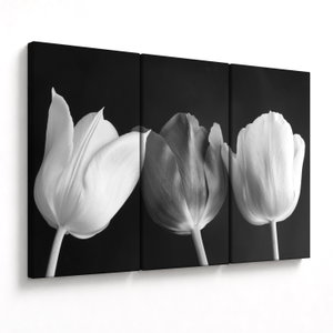 Schilderij - Zwart-witte tulpen (V021916V120803PCS)