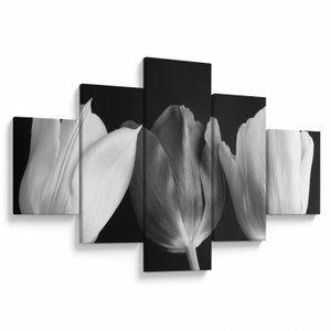 Schilderij - Zwart-witte tulpen (V021916V12570)