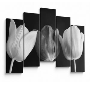 Schilderij - Zwart-witte tulpen (V021916V12590)