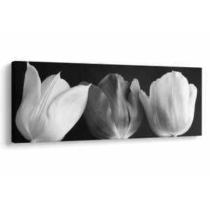 Schilderij - Zwart-witte tulpen (V021916V14558)