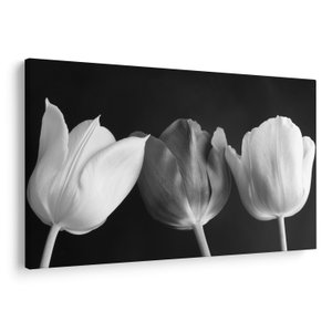 Schilderij - Zwart-witte tulpen (V021916V150100)