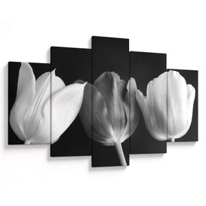 Schilderij - Zwart-witte tulpen (V021916V150105)