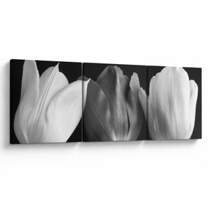 Schilderij - Zwart-witte tulpen (V021916V15050)