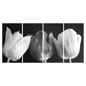 Schilderij - Zwart-witte tulpen (6)