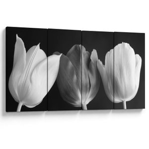 Obraz - Černobílé květy tulipánů