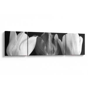 Schilderij - Zwart-witte tulpen (V021916V17050)