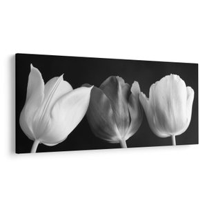Schilderij - Zwart-witte tulpen (V021916V200100)