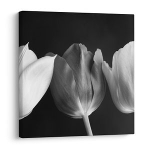 Schilderij - Zwart-witte tulpen (V021916V3030)