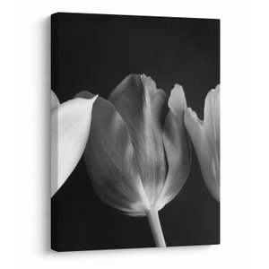 Schilderij - Zwart-witte tulpen (V021916V3040)