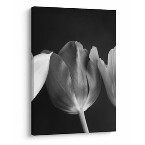 Schilderij - Zwart-witte tulpen (V021916V5070)