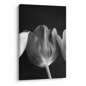 Schilderij - Zwart-witte tulpen (V021916V6090)