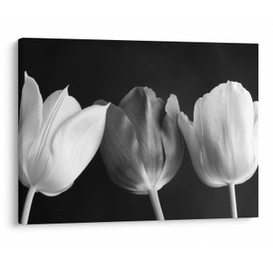 Schilderij - Zwart-witte tulpen (V021916V7050)