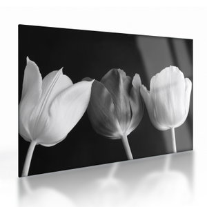 Glasschilderij - Zwart-witte tulpen (V021916V7050GD)