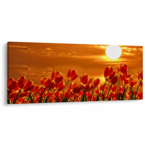 Kép egy virágzó mező tulipánokkal