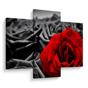 Kép - Rózsa virágok (V021975V90603PCS)