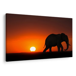 Schilderij - Olifant bij zonsondergang