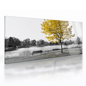 Glasschilderij - Rust in park (V022039V10050GD)