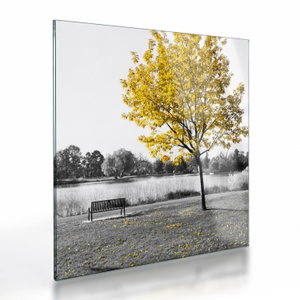 Glasschilderij - Rust in park (V022039V3030GD)