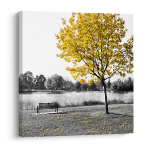 Schilderij - Rust in park (V022039V4040)