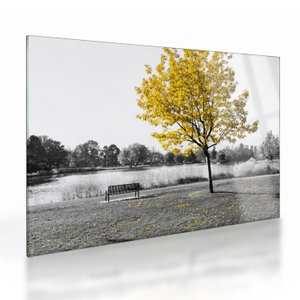 Glasschilderij - Rust in park (V022039V7050GD)