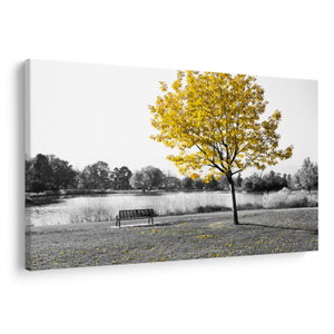 Schilderij - Rust in park (V022039V9060)