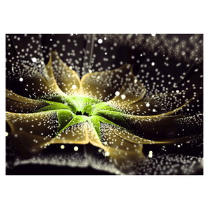 Glasbild - Blume im Detail (5)