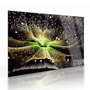 Glasbild - Blume im Detail (1)