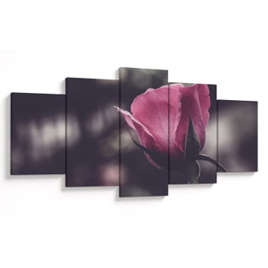 Kép - Rózsa virág részlete (V022091V150805PCS)