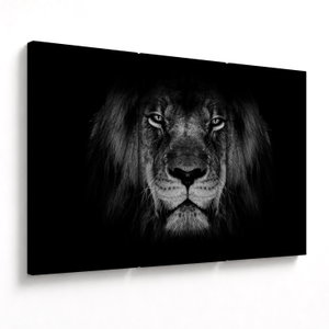 Schilderij - Imposante leeuw (V022102V120803PCS)