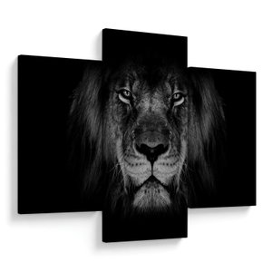 Schilderij - Imposante leeuw (V022102V90603PCS)